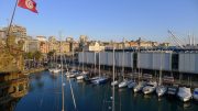 Genova 2011 (1/80)